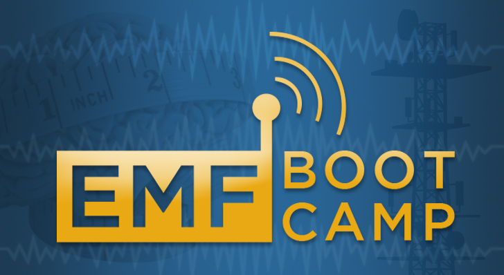 EMFbootcamp-large