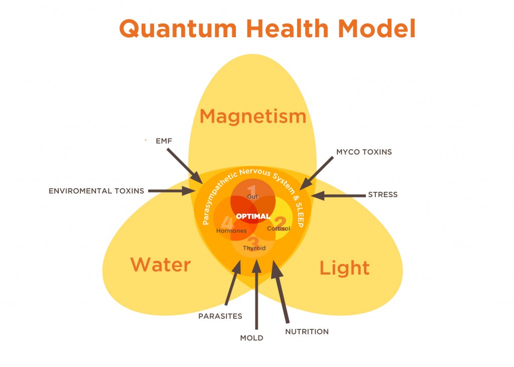 QuantumHealthModel